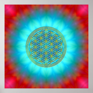Póster Flor la vida móvil 11