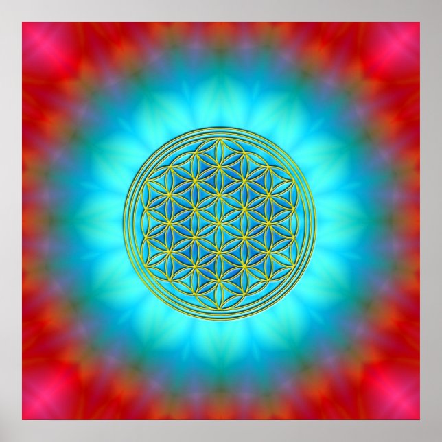 Póster Flor la vida móvil 11 (Frente)