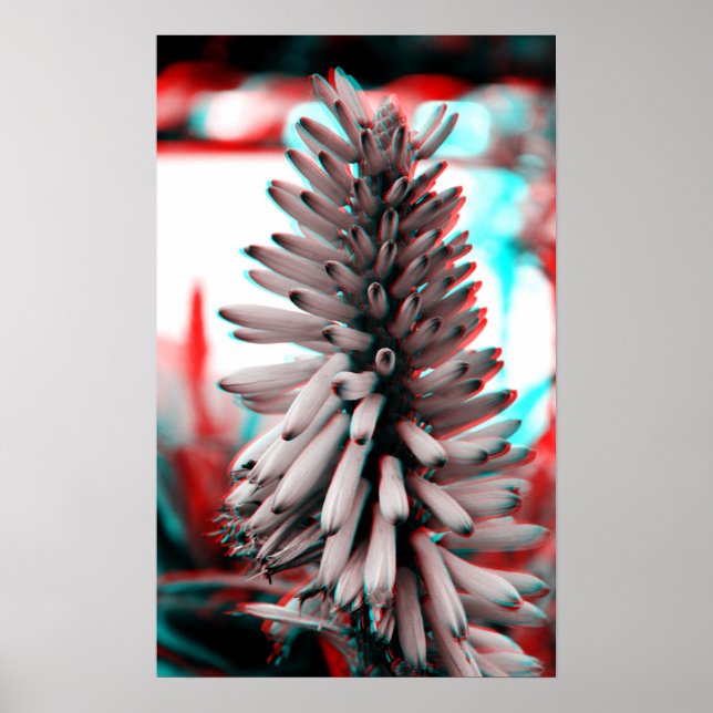 Póster Flor Loca 3D (Frente)