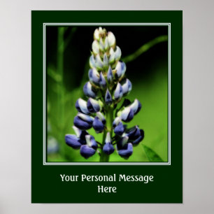 Póster Flor Lupine Azul salvaje personalizada
