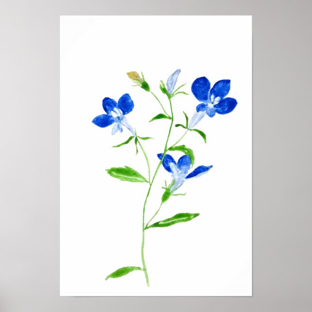 Póster flor Mary de ojos azules (Frente)