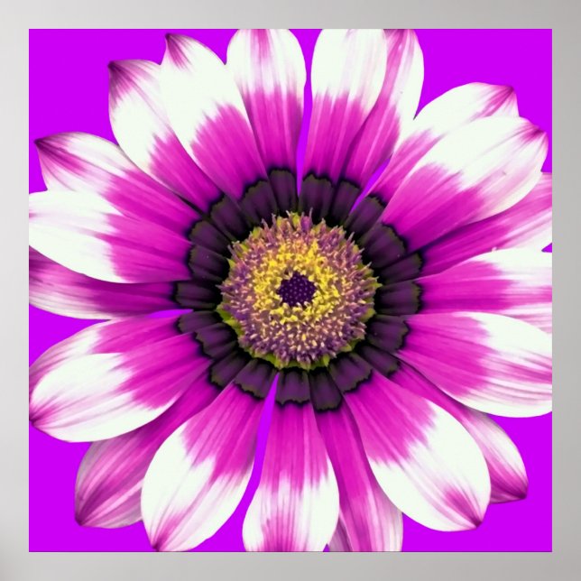 Póster Flor morada (Frente)