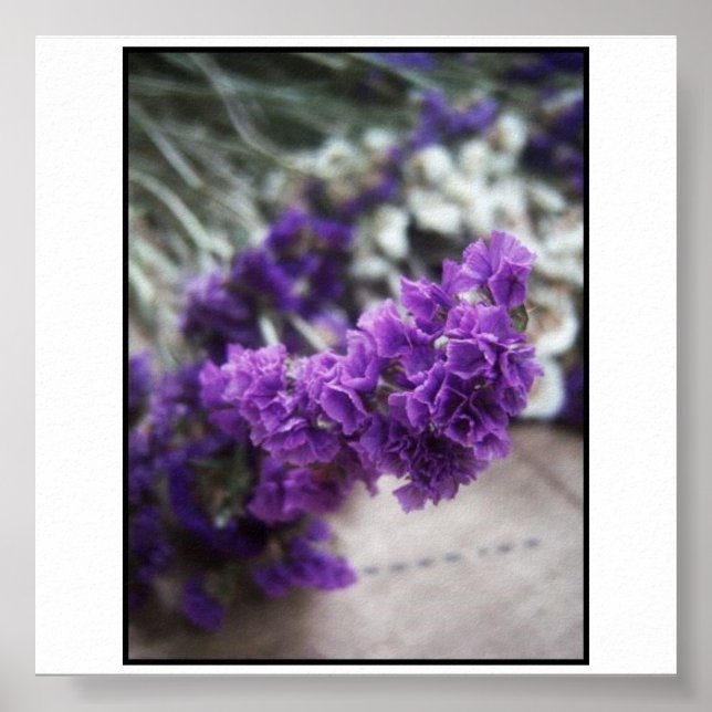 Póster Flor morada (Frente)