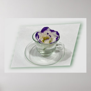 Póster Flor morada blanca en una taza