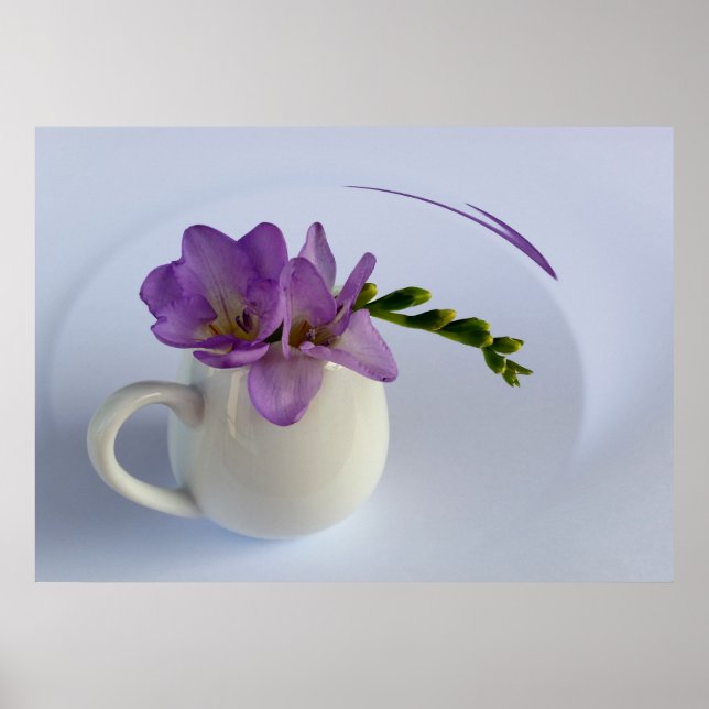 Póster flor morada de freesia (Frente)