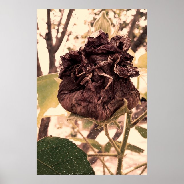 Póster flor mortal (Frente)