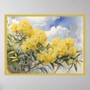 Póster Flor nacional Australia Wate dorado  