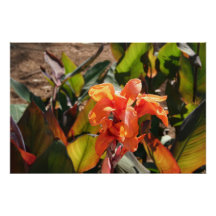Flor naranja exótica