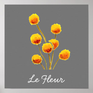 Póster Flor nativa australiana Yellow Billy Button