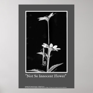 Póster Flor no tan inocente