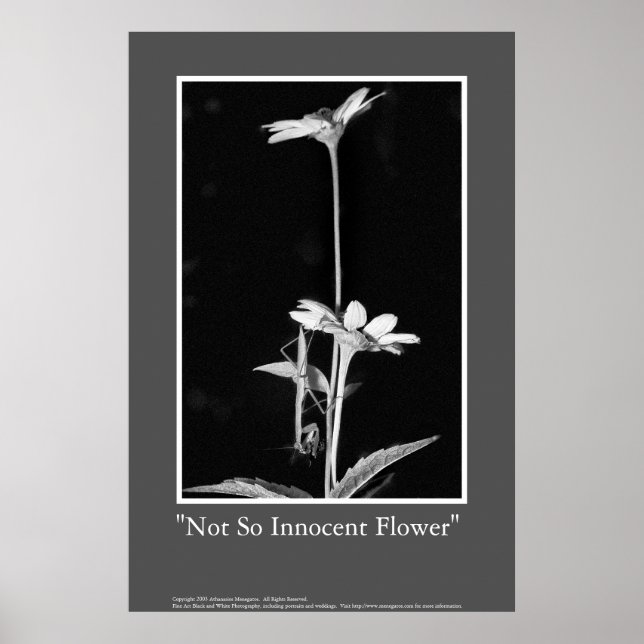 Póster Flor no tan inocente (Frente)