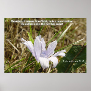 Póster Flor - nueva creación