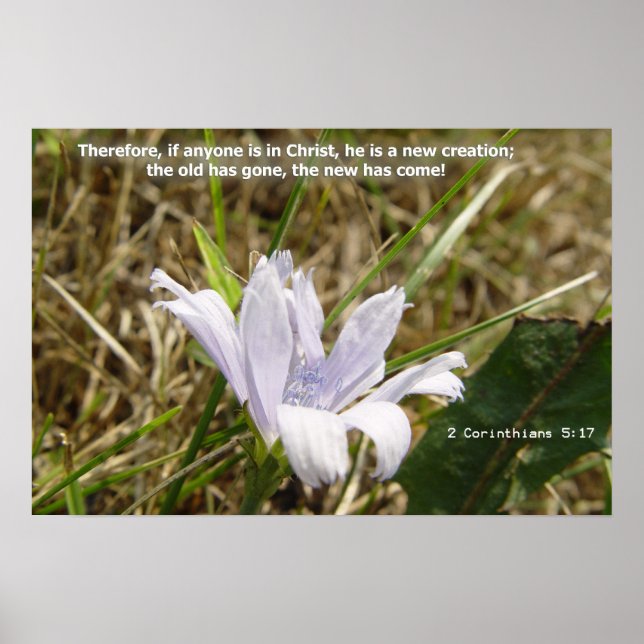 Póster Flor - Nueva creación (Frente)