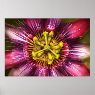 Póster Flor - Pasión Intensa