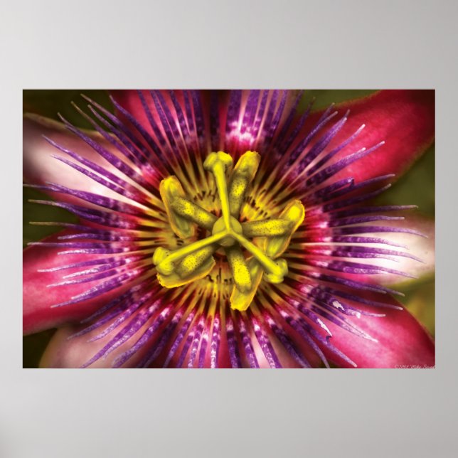 Póster Flor - Pasión Intensa (Frente)