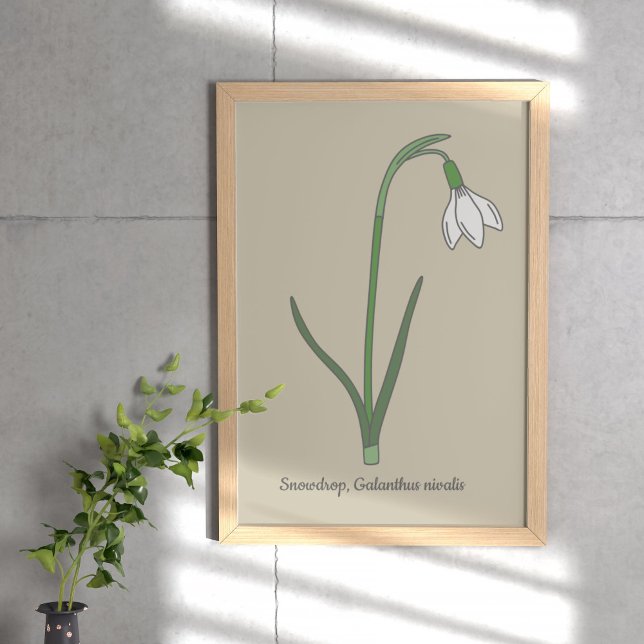 Póster Flor Pastel de Snowdrop Botánica (Botanical Snowdrop Poster)