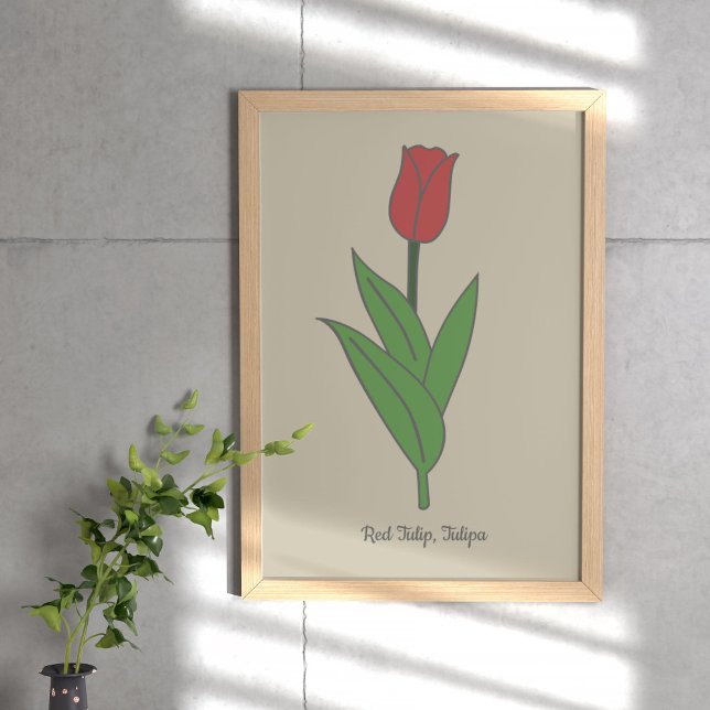 Póster Flor Pastel de Tulipanes Rojos Botánicos (Botanical Red Tulip Poster)