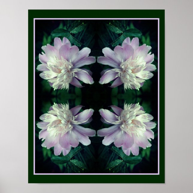 Póster Flor Peony De Lavanda En Resumen De Bloom (Frente)