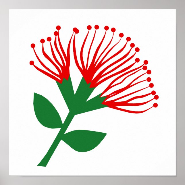 Póster Flor Pohutukawa, Nueva Zelanda (Frente)