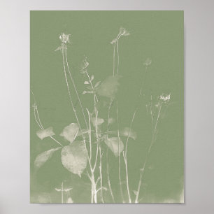 Póster Flor Pot Green Wildflor Cyanype 1