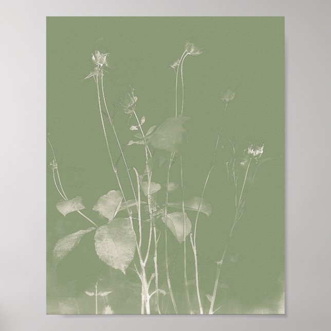 Póster Flor Pot Green Wildflor Cyanype 1 (Frente)