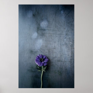Póster Flor púrpura en superficie gris