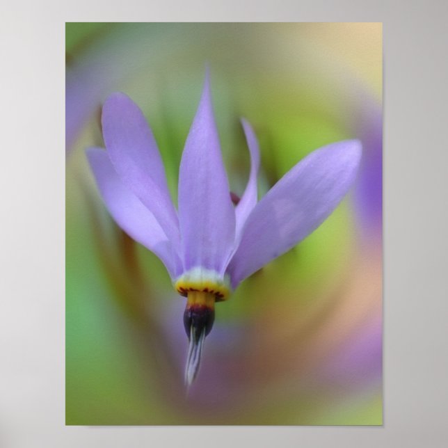 Póster Flor púrpura pálida cerca (Frente)
