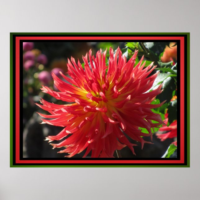 Póster Flor roja (Frente)