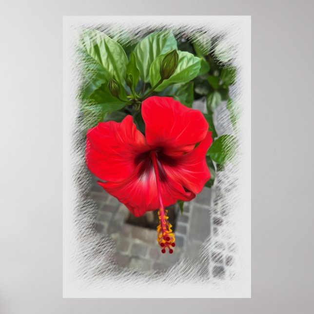 Póster Flor roja brillante (Frente)