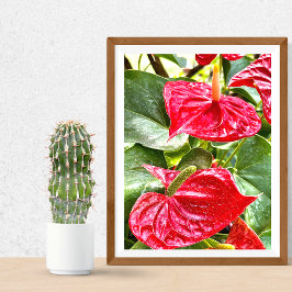 Póster Flor roja Puerto Vallarta