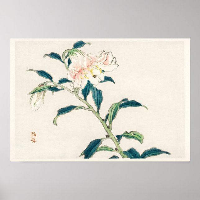 Póster Flor Rosa (Frente)
