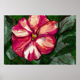 Póster Flor rosa de Balsam