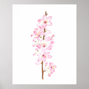 Póster flor rosa de cerezo sakura rosada acuarela dolor