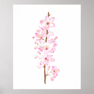 Póster flor rosa de cerezo sakura rosada acuarela dolor