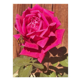 Póster Flor rosa de color elegante con flores rosadas