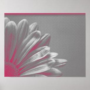 Póster Flor Rosa Destacada