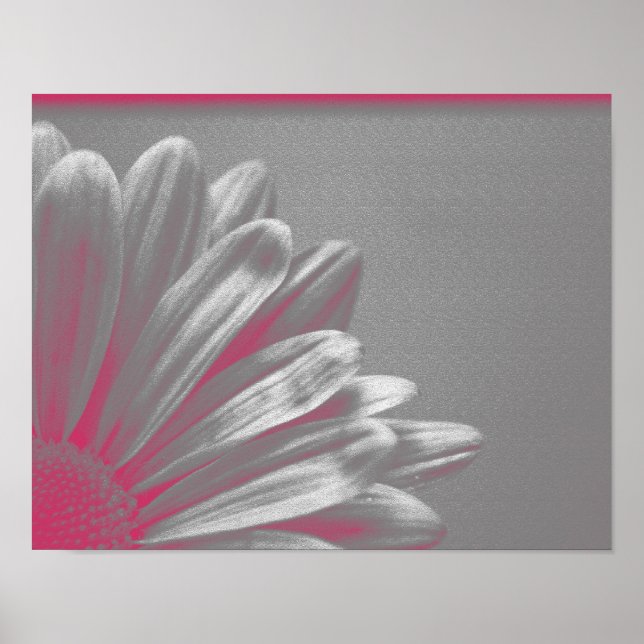 Póster Flor Rosa Destacada (Frente)