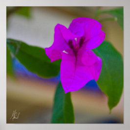 Póster Flor rosa firmada - #2