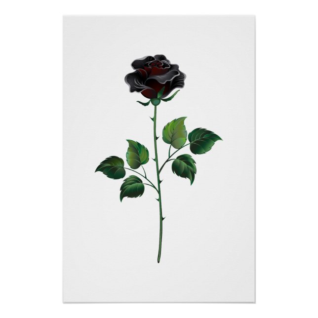Póster Flor rosa negra (Anverso)