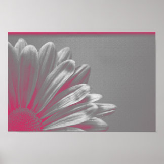 Póster Flor rosa resaltada