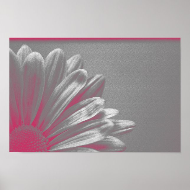 Póster Flor rosa resaltada (Frente)