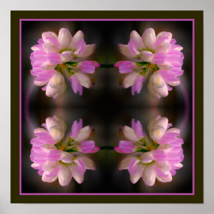 Póster Flor Rosa Y Blanca Acercan Resumen