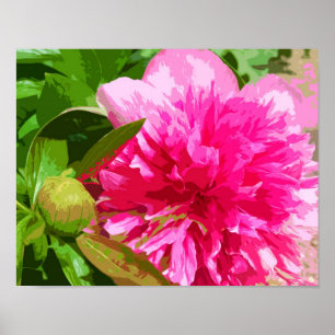 Póster Flor rosada del Peony