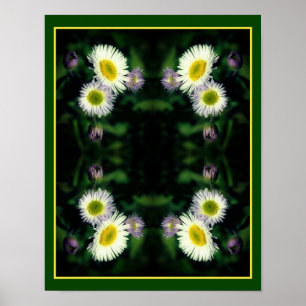 Póster Flor salvaje Fleabane Daisy cierra resumen