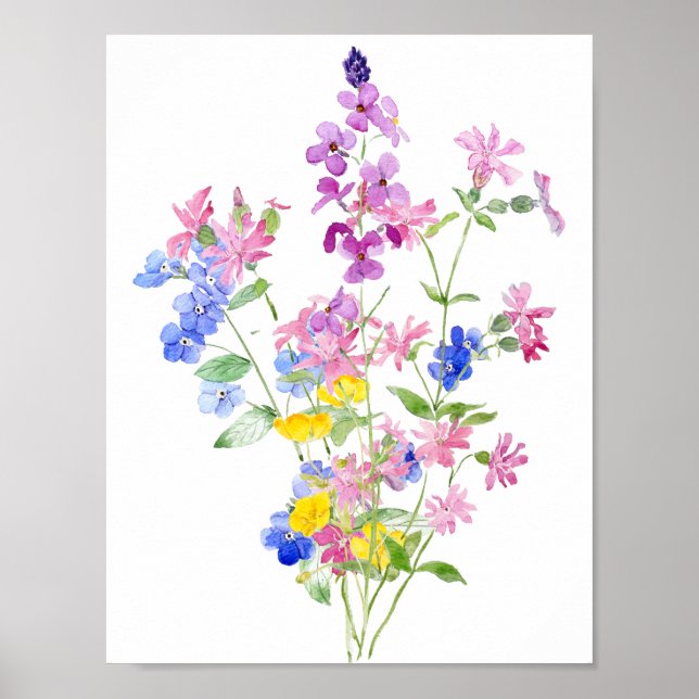 Póster flor silvestre azul rosa amarillo (Frente)