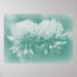 Póster Flor silvestre blanca en Aqua