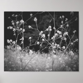 Póster Flor silvestre caprichosa en blanco y negro