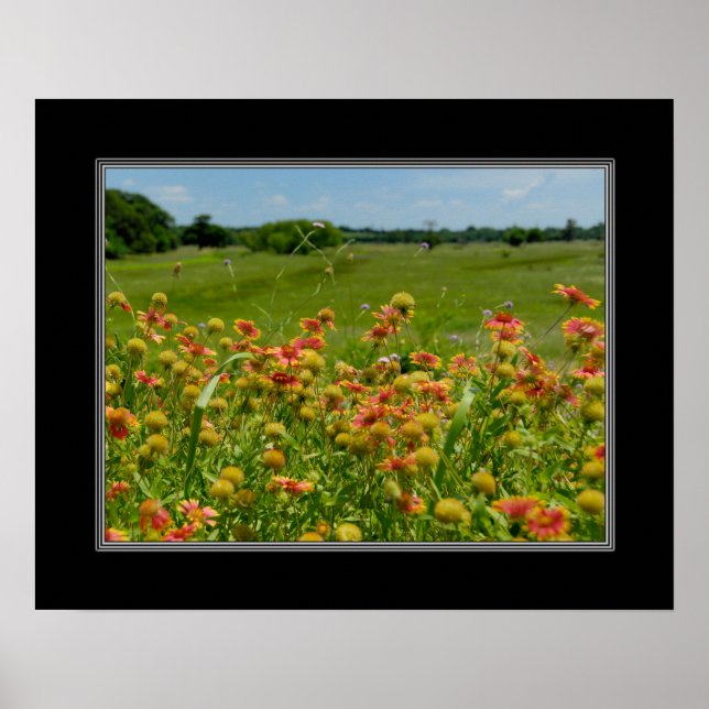 Póster Flor silvestre de 16x20 (Frente)
