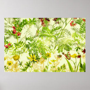 Póster Flor silvestre de hojas botánicas de bosque verde 