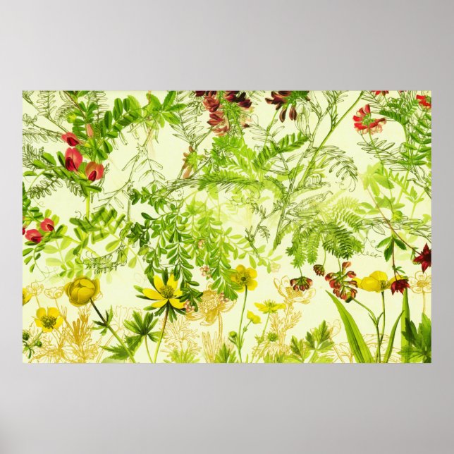 Póster Flor silvestre de hojas botánicas de bosque verde  (Frente)